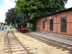 IMG_0092 (Medium)